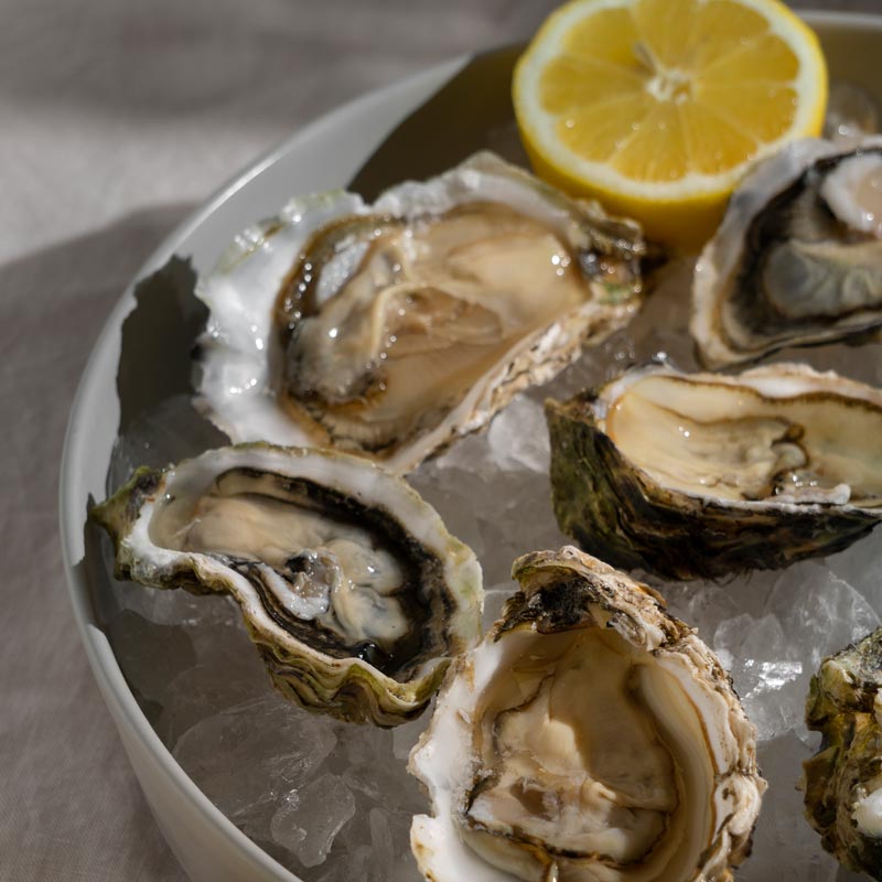 Sydney Rock Oysters Box 2